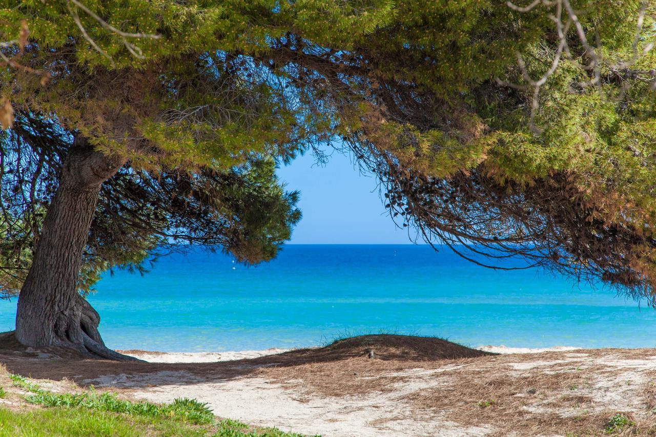 Willa Formentera 2 Can Picafort  Zewnętrze zdjęcie